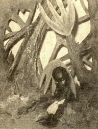 Náchod, Dětem pro radost, Kaimovo dobrozružství, 1957