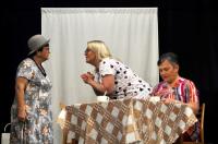 Předměřice nad Labem, T. J. Sokol, Život je jen náhoda, nebo není? NP sokolských divadel Lázně Toušeň 2025