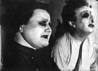 Zeleneč-Z div_O tem, jako sa raz zobudzil pán Gregor Samsa_JoK1.09, FEMAD 1985