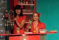 Řevnice, DS, Pánská jízda v ši(n)kanzenu, 2012