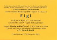 Lázně Toušeň, X. národní přehlídka sokolských divadel - plakát, 2017