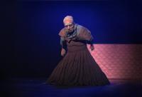 Německo, Drážďany, Freaks und Fremde, Freakshow – The Best In Town !!!, CP Loutkářská Chrudim 2017