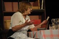 Havlíčkův Brod, Adivadlo, Osamělé večery Dory N., NP seniorského divadla Česká Třebová 2016