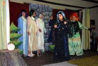 Písek, Prácheňská scéna, O Vendulce a Vitouškovi, 2009