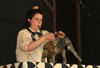 Praha, Jumbo, Jumbisté, LCH 2025