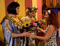 Pelhřimov, Rieger, Pod praporem něžných dam, 2008