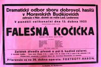 Moravské Budějovice, Hasiči, Falešná kočička - plakát, 1925