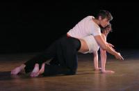 České Budějovice, Barevný děti, Žena-Smrt, 2010