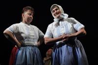 Hýsly, HOCHY, Pražáci na vinařských steskách, CP Divadelní Děčín 2011