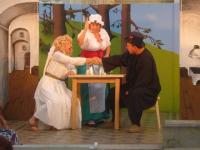 Hluboká nad Vltavou, Kulturní společnost Alta, Lékařem proti své vůli, 2010