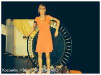 Sokolov, Divadlo bez zákulisí, Kocourku milej, já pro tebe pláču, 2015