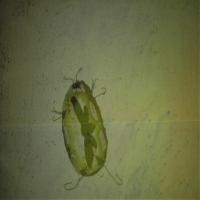 Jaroměř, ZUŠ, 120dB, Cik!, CP Šrámkův Písek 2020