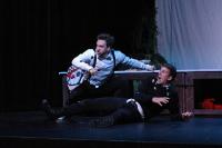 Plzeň, Divadlo J. K. Tyla, Tobiáš Lolness, CP Popelka Rakovník 2018