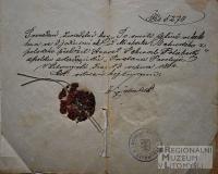 Litomyšl, JDO, Po smrti tetině, 1884