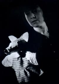 Svitavy, LS C, Bystrouška, liška, CP Loutkářská Chrudim 1997