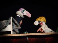 Hradec Králové, LS Vlastislav, Camiada, LCH 2008