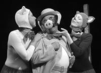 Ořechov, Ořechovské divadlo, Zvířecí divadlo aneb Zrzavá subreta, 2004