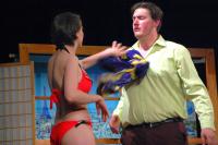 Libice, Vojan, Nevěsta k pohledání, LDL 2017