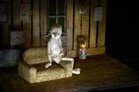 Argentina, Magalí Bondulich, Solo, LCH 2025