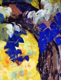 Plánice, Sokol, fragmenty opony, 192x