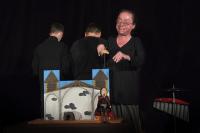 Jaroměř LD Maminy, Vyvraždění Vršovců, CP Loutkářská Chrudim 2015