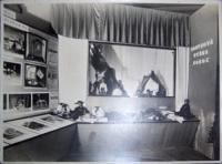 Kutná Hora, Sokol, Loutkářská výstava, 1945
