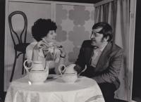 Chomutov, Čapek, Pokrytci, 1980