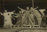 Lysá nad Labem, výstava DIVADLO JE PODIVUHODNÁ VĚC..., Komedie pro pár kapek, 1982, výstavní panel, 2018