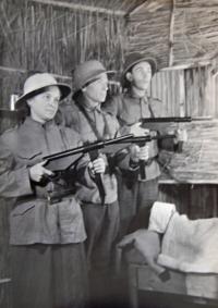 Třebíč, Tyl, Ztracená posice, 1952