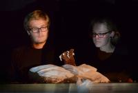 Svitavy, Bubliny, Medvěd, CP Jiráskův Hronov 2014