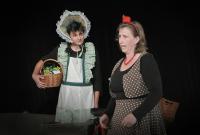Liberec, Divadlo Na kliku, O slepičce a kohoutkovi, CP Loutkářská Chrudim 2018