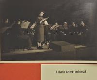 Lysá nad Labem, výstava DIVADLO JE PODIVUHODNÁ VĚC..., výstavní panel, 2018