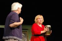 Libice nad Cidlinou, Vojan, Popel a pálenka, CP Divadelní Piknik Volyně 2022