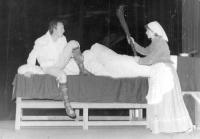 Horšovský Týn, MKZ, Hloupý Honza, 1982