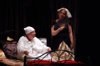 Josefův Důl, J. K. Tyl, Zdravý nemocný, Libochovické divadelní léto 2013