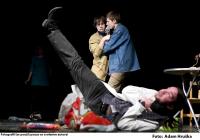 Praha, Ojebad, Jelito a Kopyto - nejlepší detektivové v tomto vesmíru, 2010