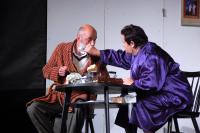 Jilemnice, Divadlo v Roztocké, Ztížená možnost soustředění, Femad Poděbrady 2023