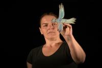 Hradec Králové, Mízou do dřeva, Kdyby se ztratili, CP Jiráskův Hronov 2019