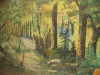 Chotěborky, prospekt, cesta v lese