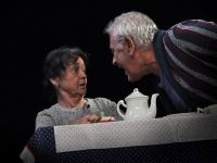 Neratovice, Havlíček, Já jsem Herbert, 2010