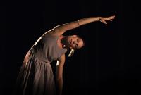 Plzeň, NoTa ZUŠ B. Smetany, Le Visiteur, CP Jiráskův Hronov 2013