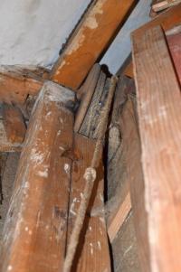 Žleby, zámecké divadlo, detail opony