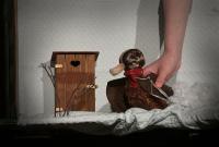 Praha, BROULANANŠU, Kačenka Shingebiss, CP LCH 2020