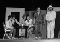 Litovel, Sokol, Už tu byla?, 2009