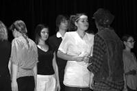 Veselí nad Moravou, Mokarýna, Případ Selvinův, 2009