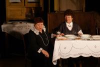 Ostrava-Proskovice, 1. Jarkovská Divadelní Společnost, Jezinky bezinky, 2010