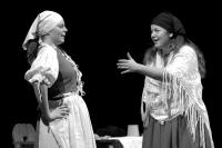 Žďár nad Sázavou, Královská divadelní společnost Effrenata, Hastrmanská pohádka, 2010