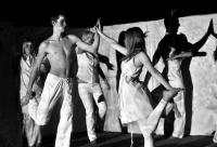 Olomouc, Žerotín, Racek, 2010