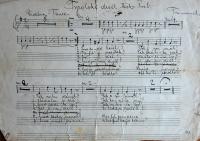 Pelhřimov, Rieger, divadelní hry a písně