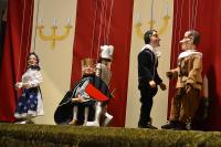 Zásada, Prokůpek, Kašpárek dvorním lékařem, 2015